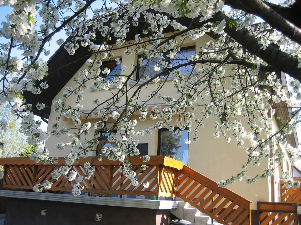 St. Michael Apartman 부다페스트 외부 사진